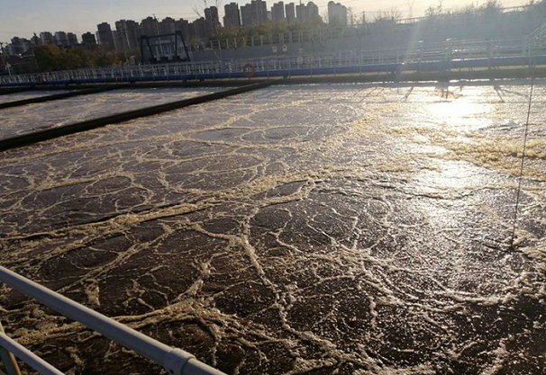 8万吨污水处理厂